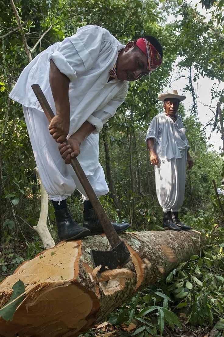 los voladores de papantla, con fe hacia el vacío